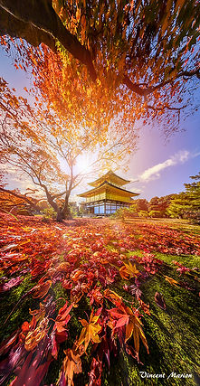 Temple Kinkakuji 1_edited.jpg