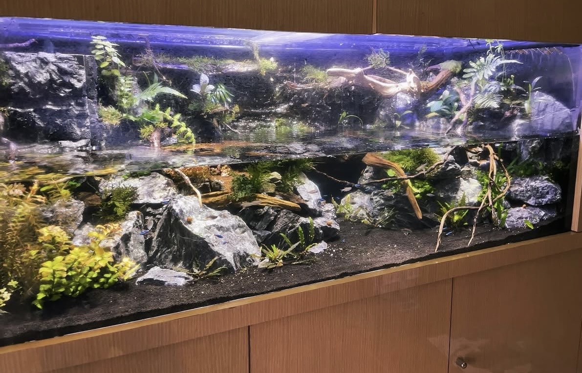 水と陸がつながる景色