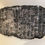 Thumbnail: Orthoceras nautiloid fossil