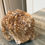 Thumbnail: Honey calcite
