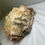 Thumbnail: Honey calcite