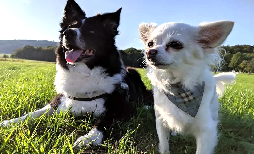 Screenshot_20251027_130658_Facebook_edit