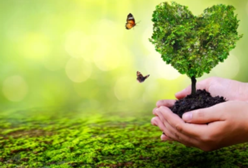 La Bioplastica Compostabile: L’Innovazione biodegradabile della plastica Biorepack, sostenibilità per il Packaging Alimentare del Futuro