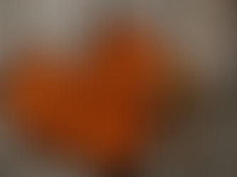 DENGAN PASSION DI HATI