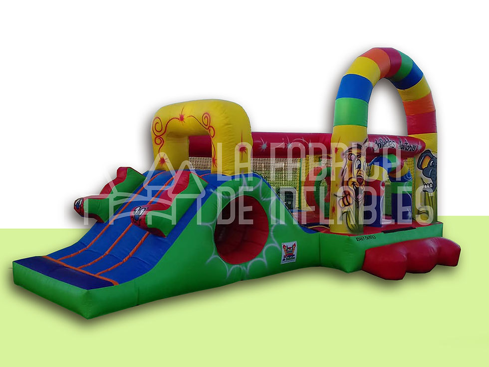 Miniatura: Inflable 6x3