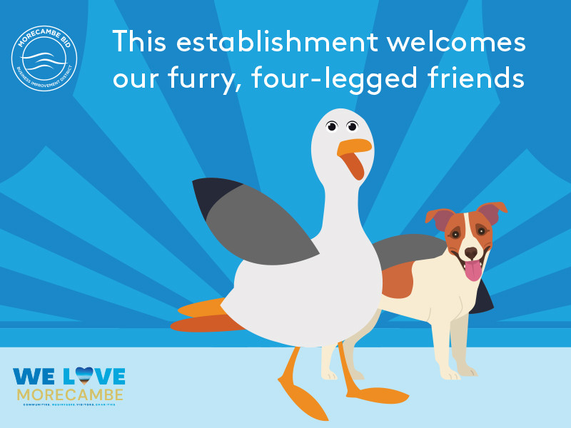Dog Friendly Places We Love Morecambe