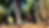 IMG_3507.jpeg