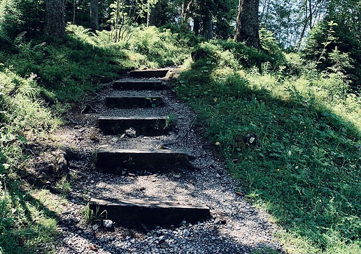 weg im wald.jpeg