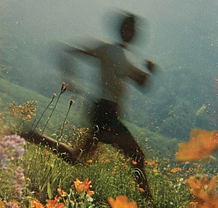 Bildschirmfoto 2026-04-16 um 16.44.43.png