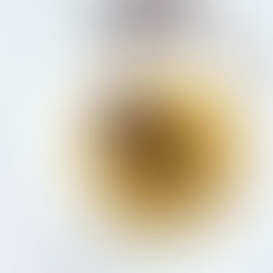 Dark Chocolate Ganache with Candied Saffron Orange slice and Hazelnut Crunch