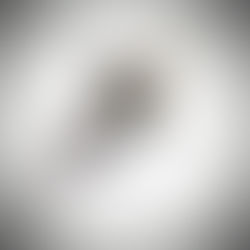 18th Cent Indian Basket Hilt £165