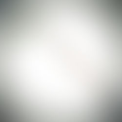 Afghan Gunners Axe £235