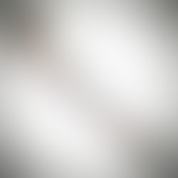 WW1 British Indian Army Sword £395