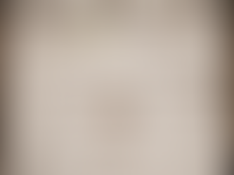 Stay Updated: Barn Hunt Trial Dates in Maine