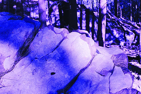 PurpleRock2.jpg