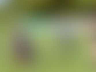 Kendal Rugby win first game of the season