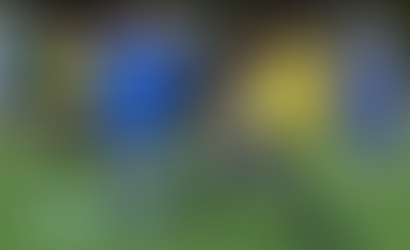 Local Junior League set to return