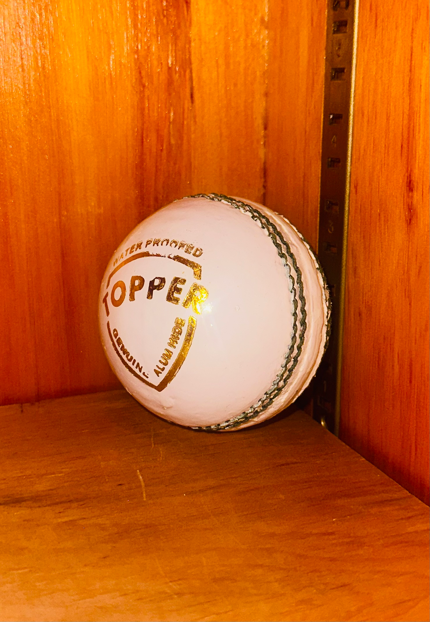 Leather Balls- set of 12