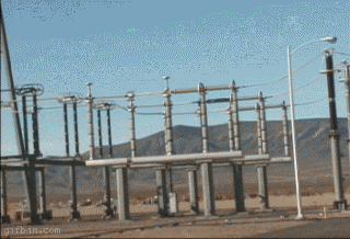 giphy (3).gif