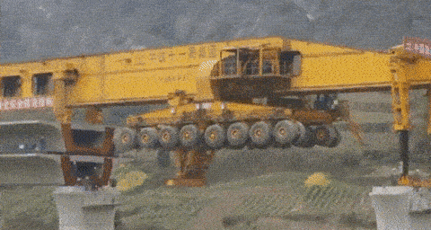 giphy00.gif