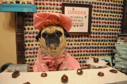 giphy-6.gif
