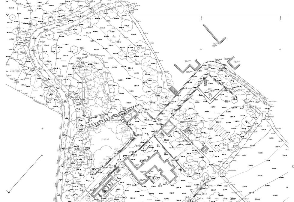 Land Survey Estate