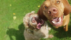 118198545_3113433682102808_1051133461417