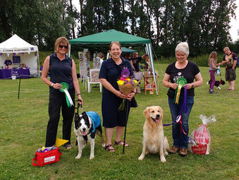 Charity FUN DOG SHOW in aid of Canine Partners