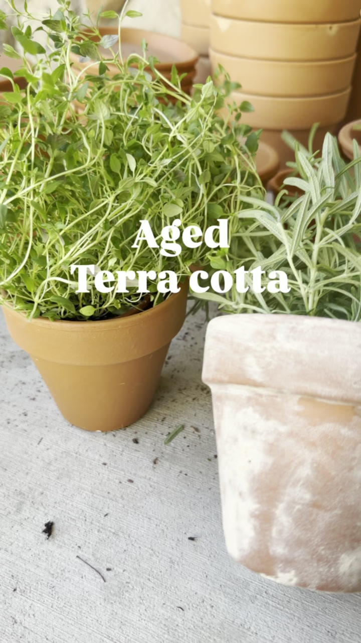 what you water will grow: DEVOTIONAL +PRINTABLES+Terra cotta pot tutorial