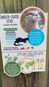 Colchester Zoo: Inspiration for stories is everywhere