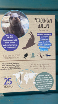 Colchester Zoo: Inspiration for stories is everywhere
