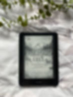 Sparrow Falls series by Catherine Cowles