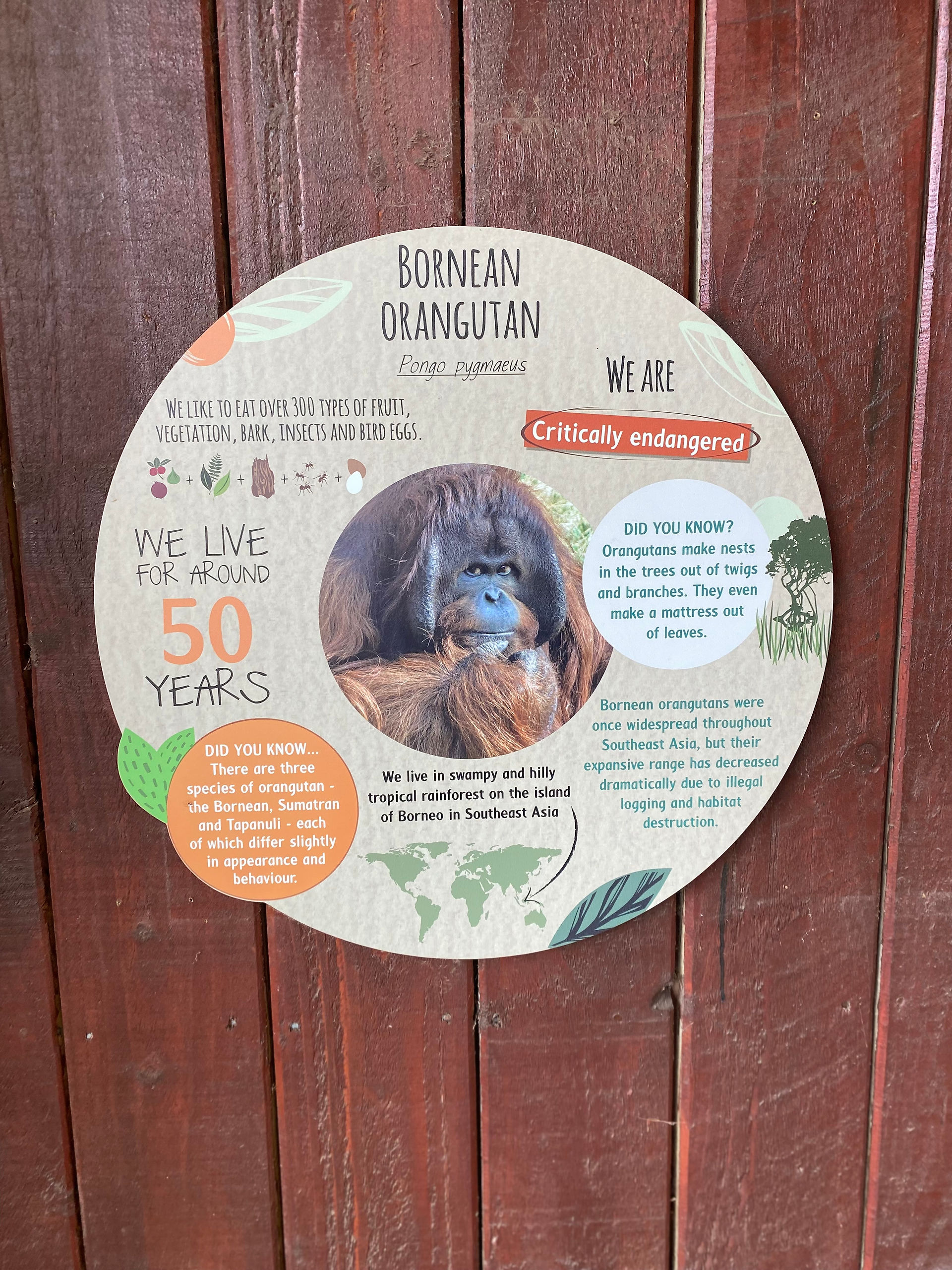 Colchester Zoo: Inspiration for stories is everywhere