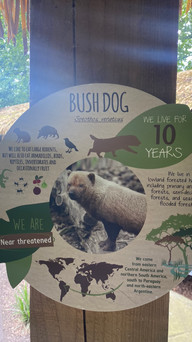 Colchester Zoo: Inspiration for stories is everywhere