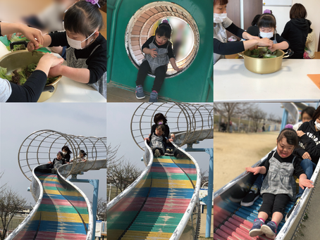調理実習と公園散策