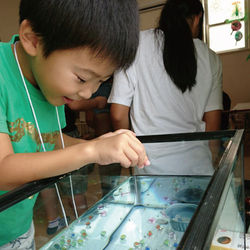 Summer-festival2017.017