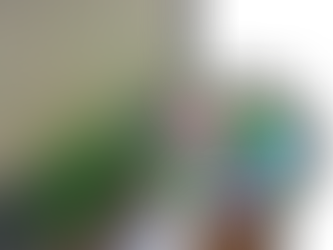 朝顔 着々と大きくなってます。