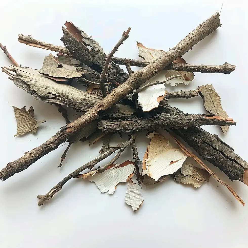 Mulberry mistletoes support liver and kidney health, improve blood circulation, and enhance overall vitality. It alleviates joint pain and stiffness while promoting better sleep quality.