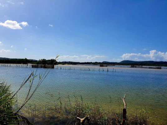 fish kraal in lake kosi bay