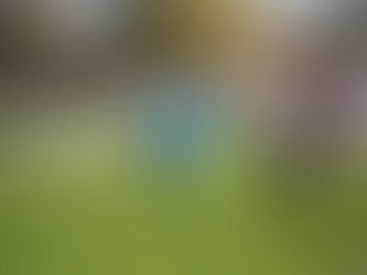 PORTRAIT DE AYMERIC BOMY 🦁