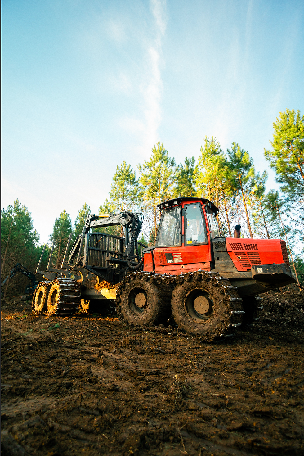 Captura de Tela 2025-04-13 às 18.12.27.png