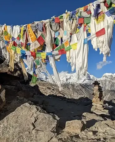 PXL_20221021_143518714.MP-2 (2)-2.webp