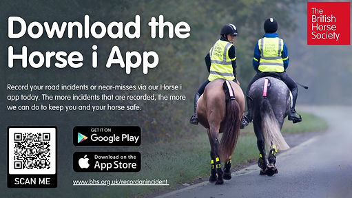 Download Horse i App.jpg