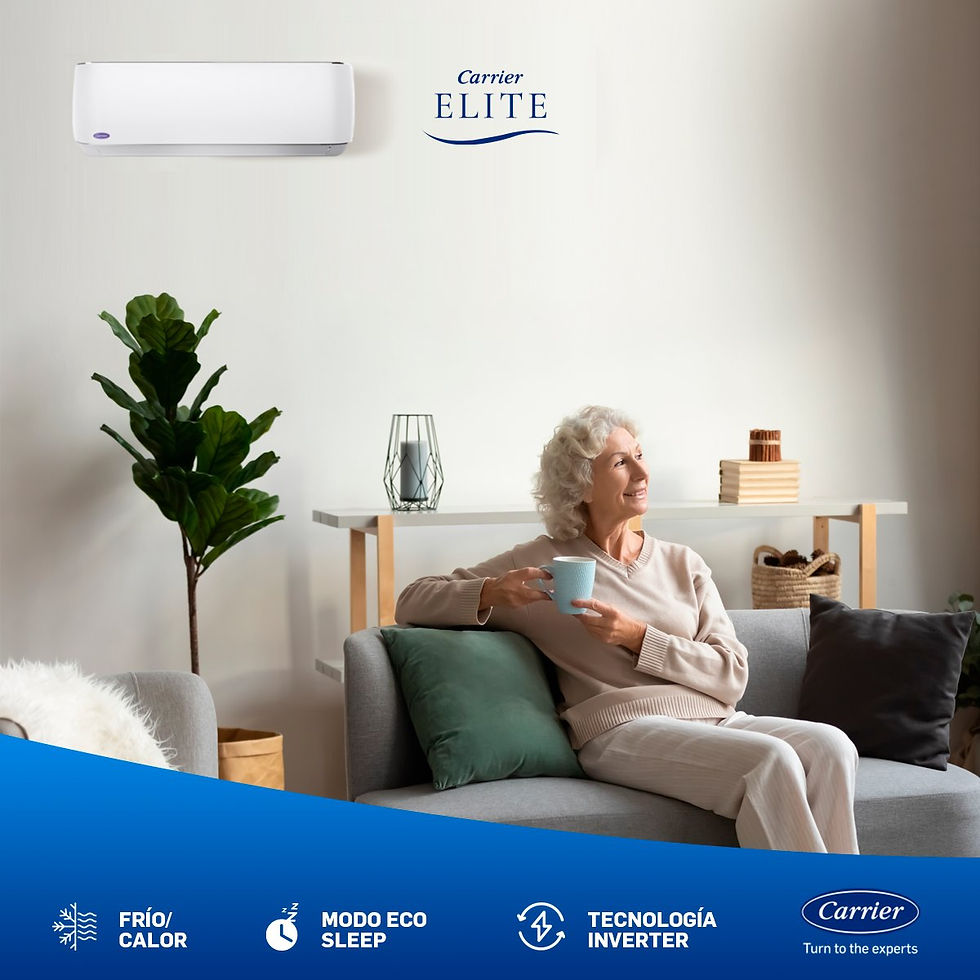 Miniatura: SERIE  ELITE