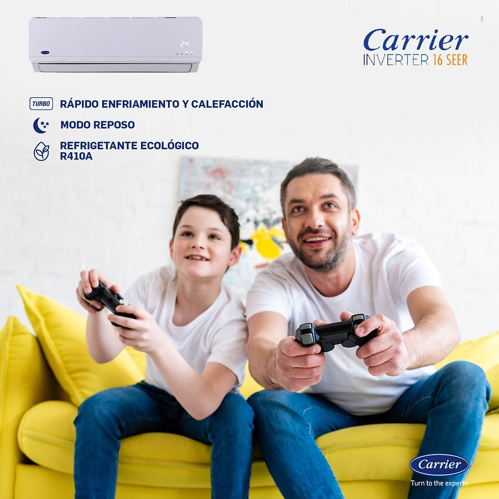 Miniatura: SERIE CARRIER CIC