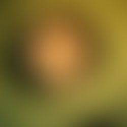 Quand notre rythme est en décalage avec notre biologie