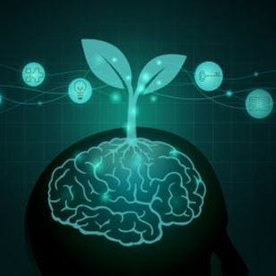 growth-mindset-kopf-pflanze-klein.jpg