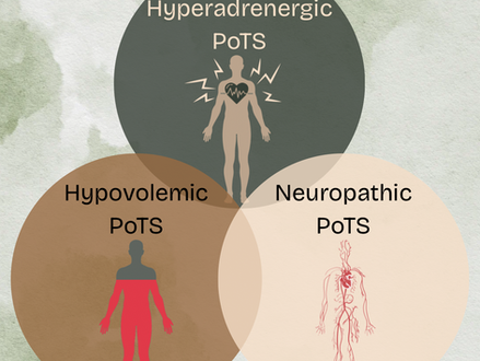 Three PoTS Subtypes
