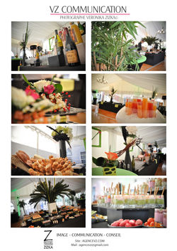 PLAQUETTE RECEPTION_veronika_zizka.jpg