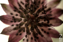 Veronika_Zizka_photo_vz-6